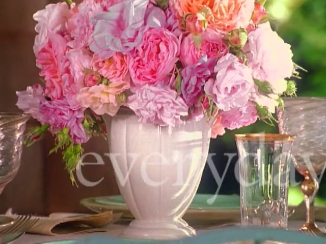 MSL Season 5 Episode 104V