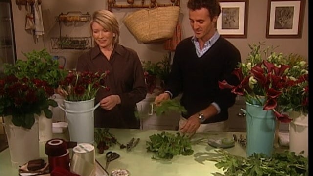 MSL Season 7 Episode 241V