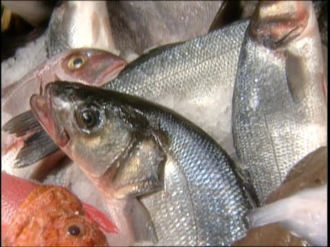 MSL Season 7 Episode 142V