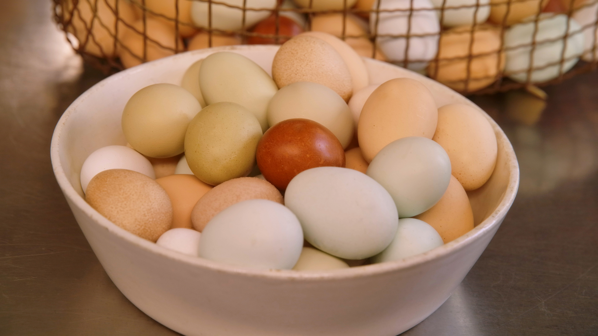 MC S1 E03 How to Properly Cook an Egg