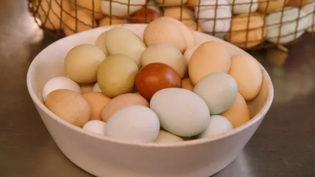 MC S1 E03 How to Properly Cook an Egg