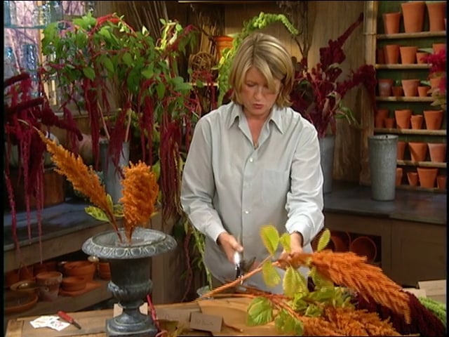 MSL Season 10 Episode 071V