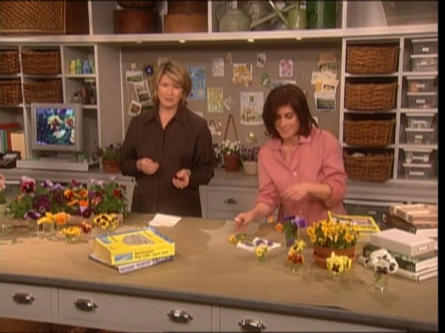 MSL Season 7 Episode 365V