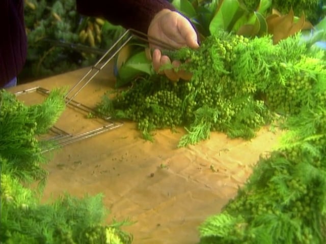 MSL Season 2 Episode 13V