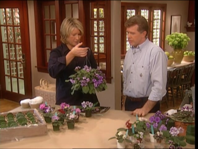 MSL Season 7 Episode 231V