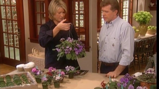 MSL Season 7 Episode 231V