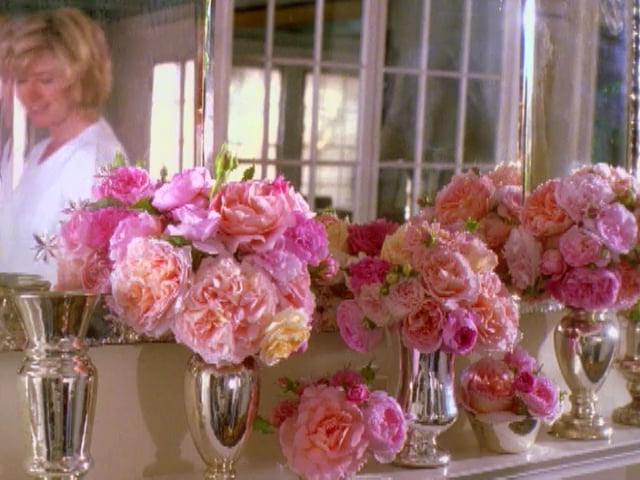 MSL Season 5 Episode 263V