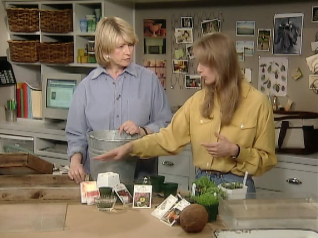 MSL Season 6 Episode 242V