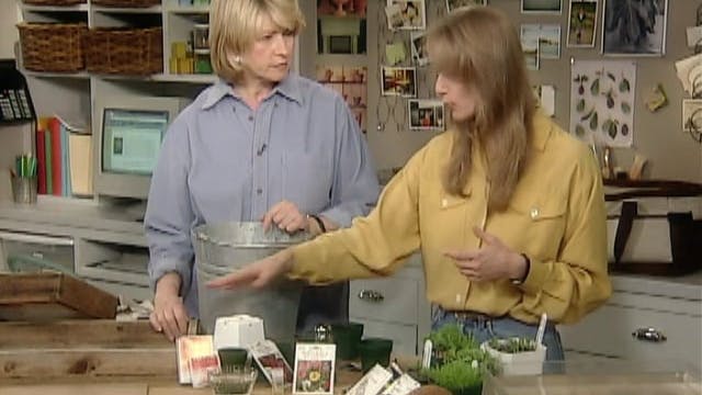 MSL Season 6 Episode 242V