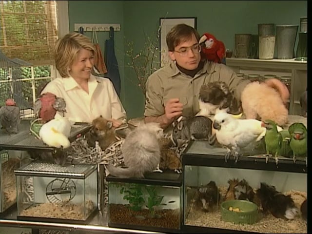 MSL Season 7 Episode 394V