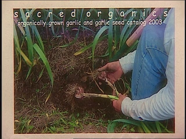 MSL Season 11 Episode 071V