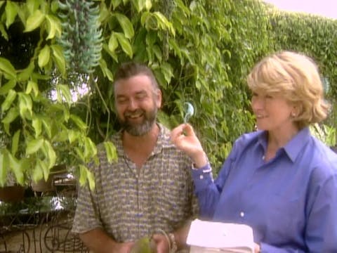 MSL Season 5 Episode 034V