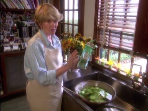 MSL Season 3 Episode 01V