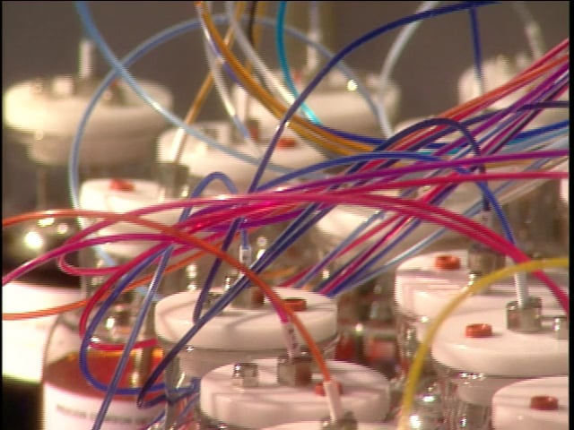 MSL Season 9 Episode 355V