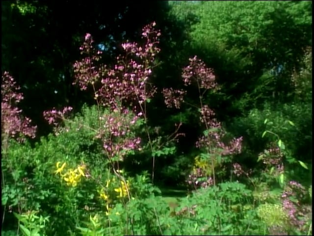 MSL Season 8 Episode 454V