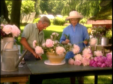 MSL Season 8 Episode 372V