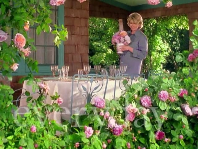 MSL Season 5 Episode 091V