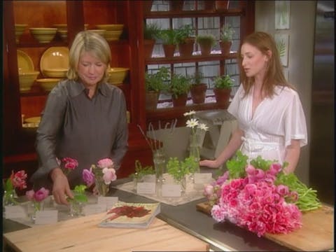 MSL Season 11 Episode 051V