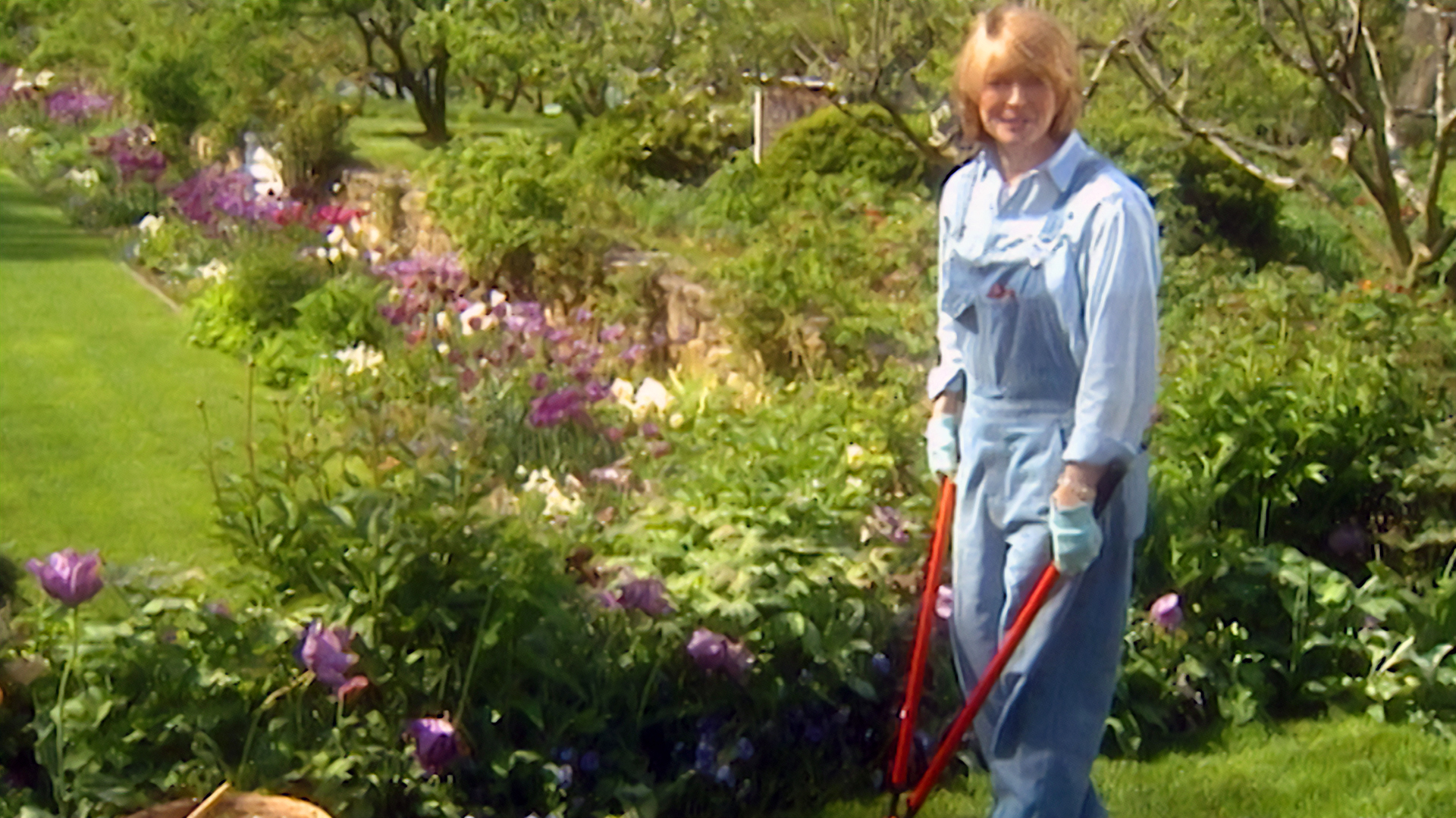 MSL S4 E26 Begonias, Ground Covers, Hot Fudge