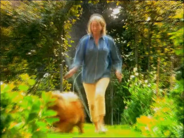 MSL Season 10 Episode 101V Mexican Buffet