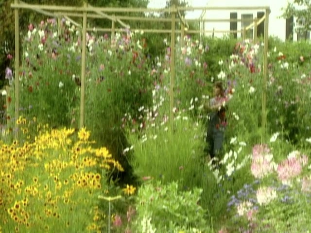 MSL Season 6 Episode 332V