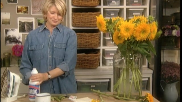 MSL Season 7 Episode 033V