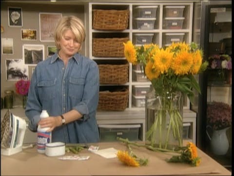 MSL Season 7 Episode 033V