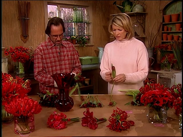 MSL Season 8 Episode 233V