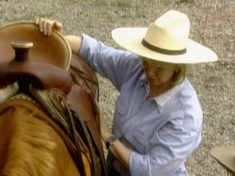 MSL Season 6 Episode 035V