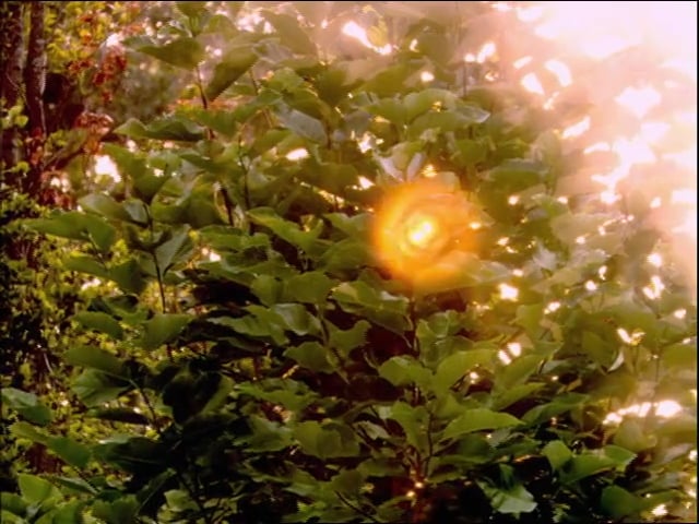 MSL Season 10 Episode 392V