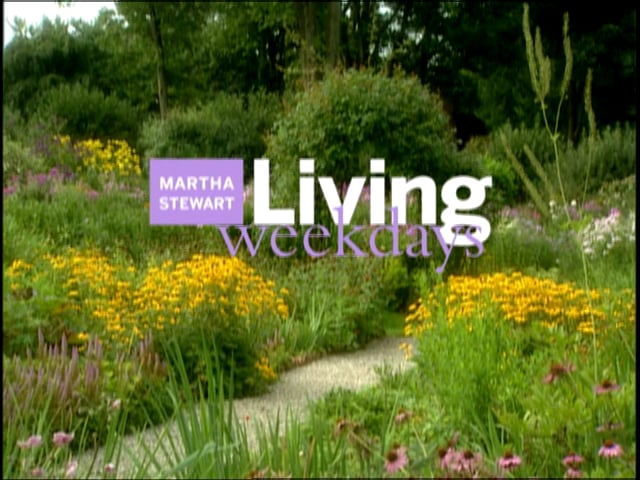 MSL Season 8 Episode 021V