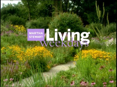 MSL Season 8 Episode 021V