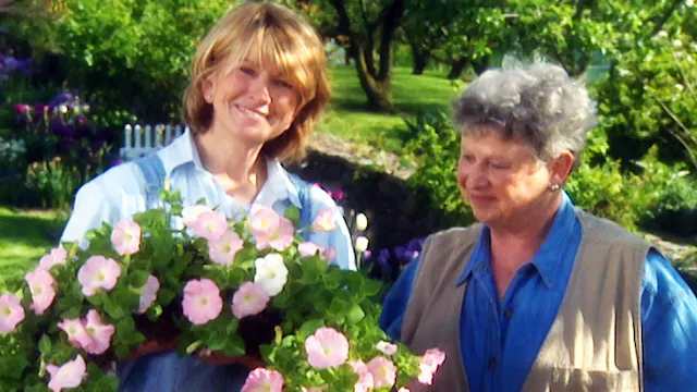 MSL S3 E28 Pegging and Pruning Roses,...