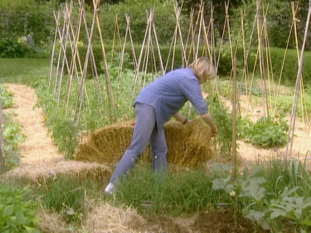 MSL Season 6 Episode 022V