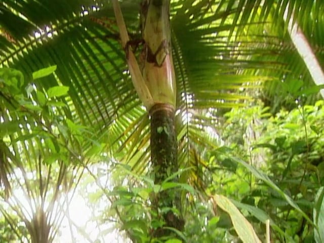 MSL Season 10 Episode 451V