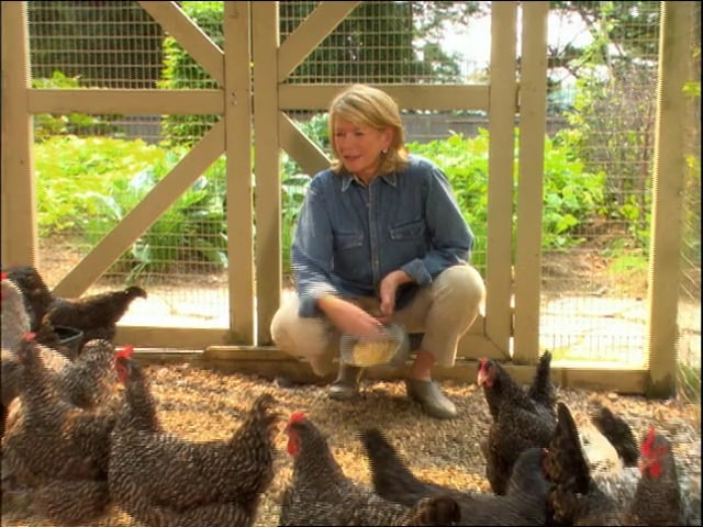 MSL Season 11 Episode 255V