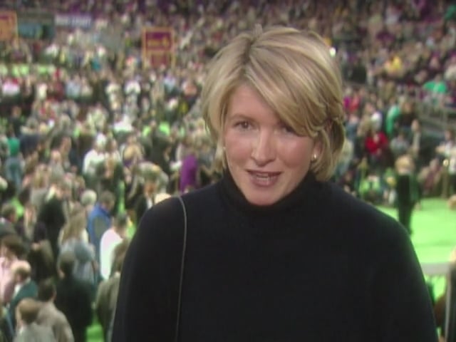 MSL Season 6 Episode 352V