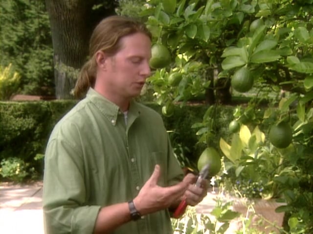 MSL Season 5 Episode 221V