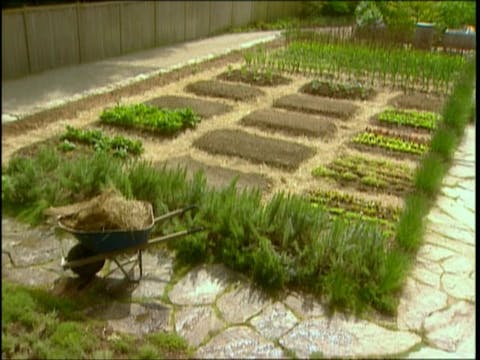 MSL Season 9 Episode 385V