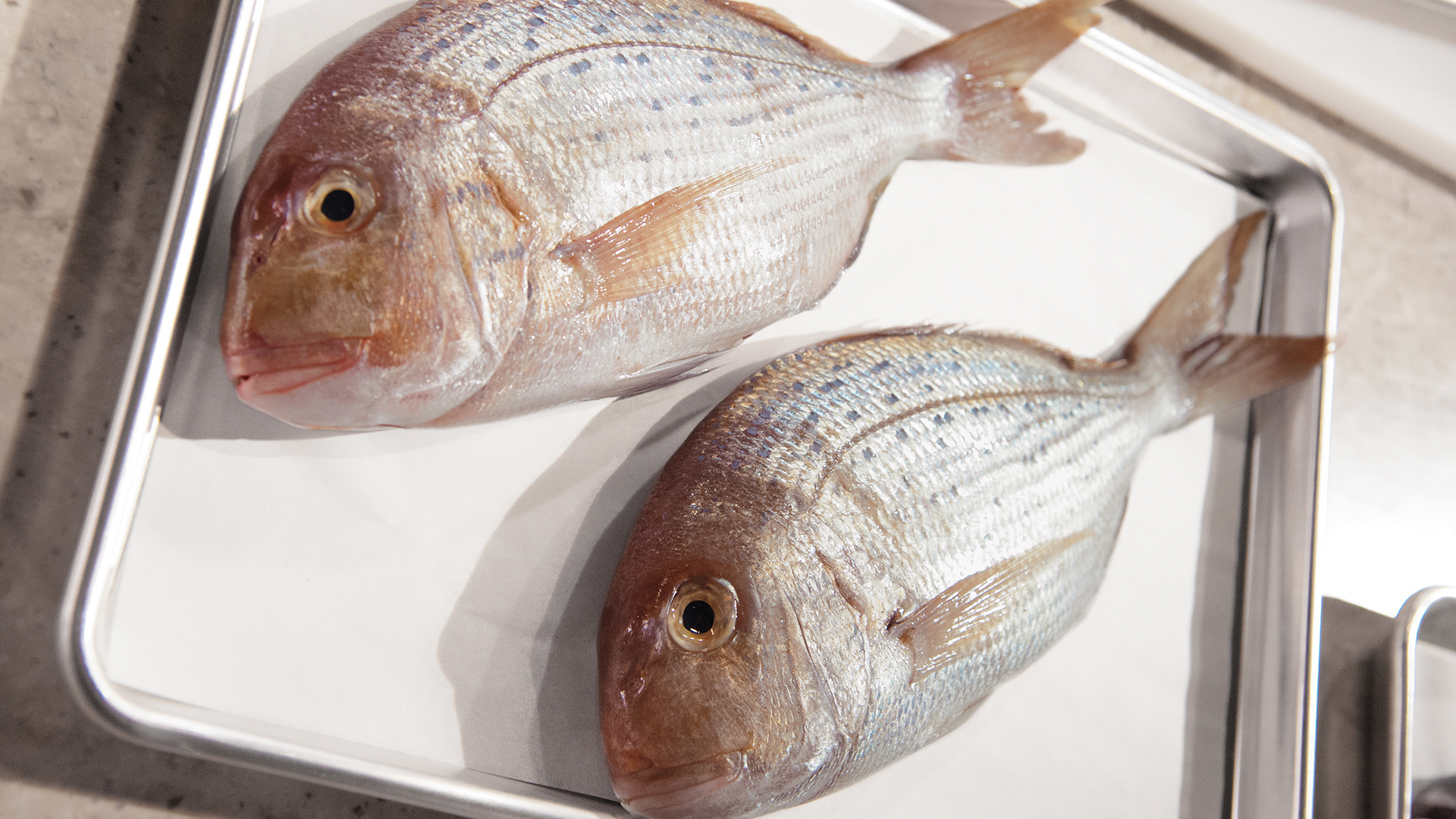 MSCS S2 E07 Fishmonger