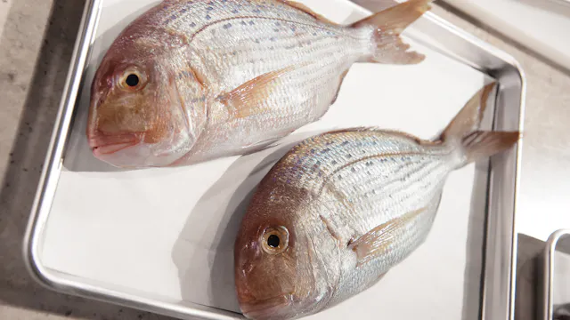 MSCS S2 E07 Fishmonger