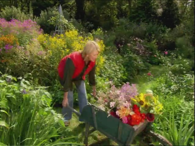 MSL Season 11 Episode 031V