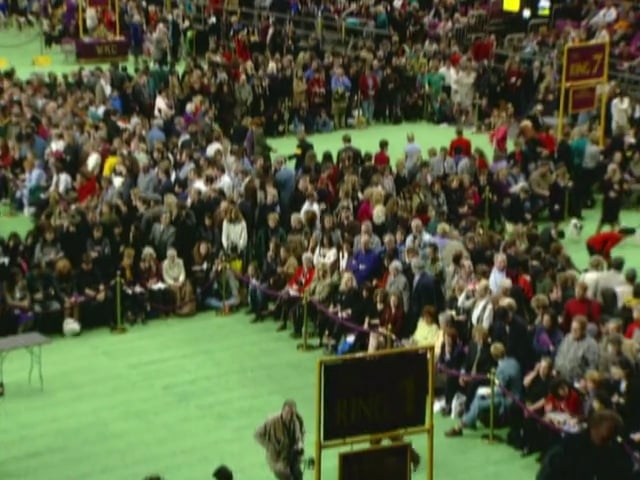 MSL Season 5 Episode 265V