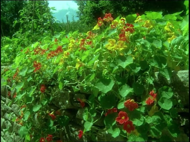 MSL Season 10 Episode 471V