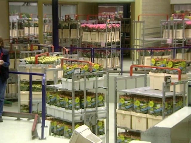 MSL Season 6 Episode 261V