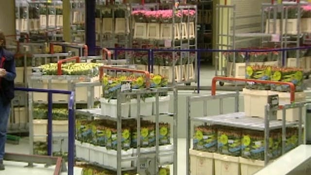 MSL Season 6 Episode 261V