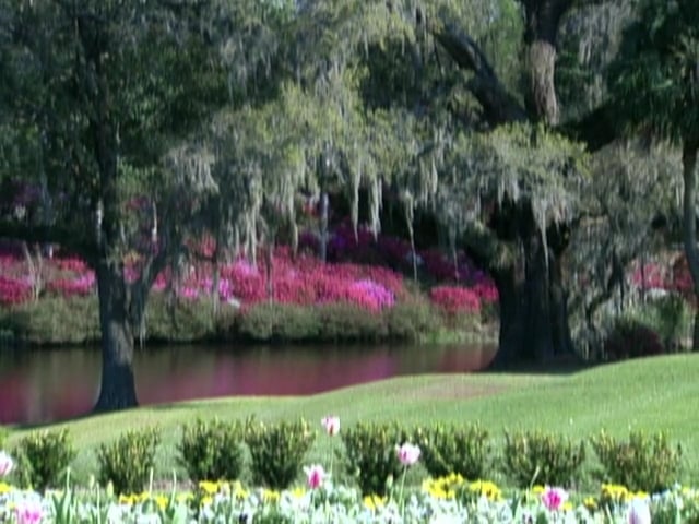 MSL Season 6 Episode 345V