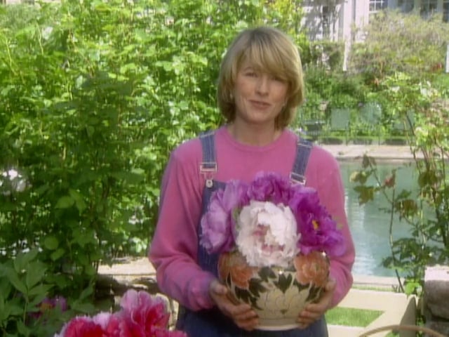 MSL Season 5 Episode 373V