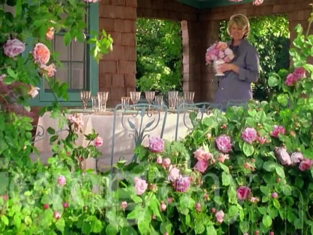 MSL Season 5 Episode 124V