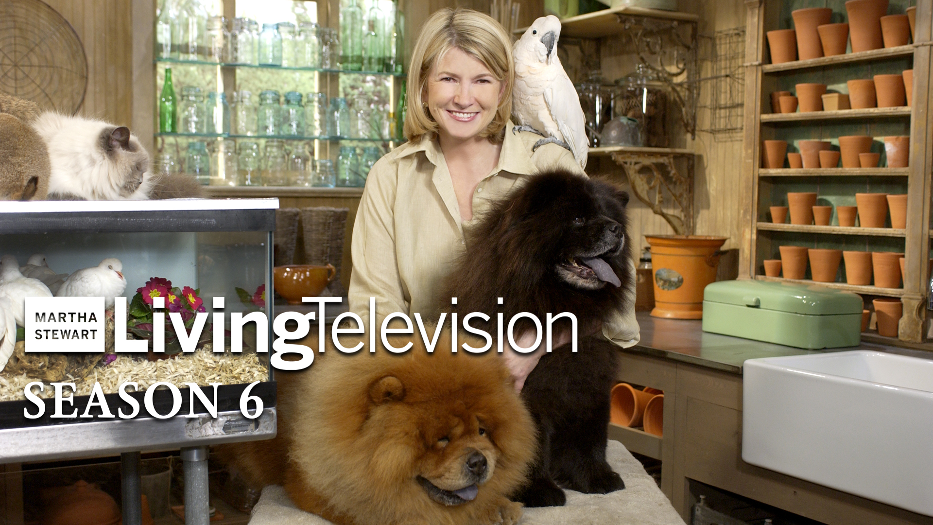 Martha Stewart Living Season 6